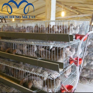 <span class=keywords><strong>Gabbia</strong></span> <span class=keywords><strong>per</strong></span> Quaglie da Deposizione/<span class=keywords><strong>Gabbia</strong></span> Industriale <span class=keywords><strong>per</strong></span> Quaglie/<span class=keywords><strong>Gabbia</strong></span> Metallica <span class=keywords><strong>per</strong></span> Quaglie Campione Gratuito dalla Fabbrica di Guangzhou - Product Image 4