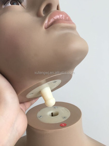 Pour L'affichage De Vêtements Offre Spéciale Debout Complet Grande Taille Gros <span class=keywords><strong>Buste</strong></span> <span class=keywords><strong>Femme</strong></span> Mannequin - Product Image 5