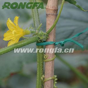 Attaches de jardin en plastique de 250 <span class=keywords><strong>m</strong></span>, attaches de fixation en plastique, cordes d'attache de jardin, fils en plastique pour plantes, jardin et agriculture, fils de fixation - Product Image 5