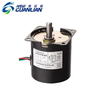 Guten Ruf 17 Watt 25 Watt motor tyd synchronmotor ac 50/60 hz