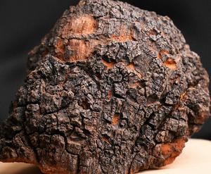 खरीदने 500g सच कच्चे नई स्वास्थ्य शीर्ष superfood chaga चाय बिक्री के लिए लाभ - Product Image 6