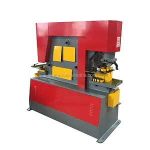 Hydraulic Press Metal Die Cutting Iron Worker Machine