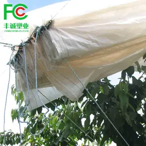 HDPE woven fruit tree cherry fruit cover protection rain cover plastic/uv durable plastic film for agricultural