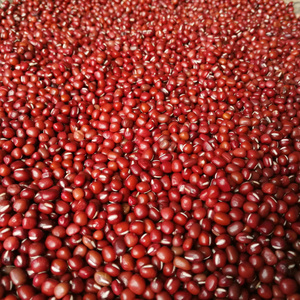 Small Red <strong>Beans</strong> Adzuki <strong>Beans</strong> Wholesale - Product Image 4