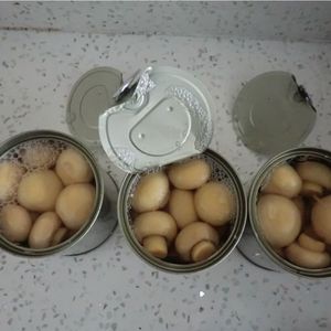 מיקאדו סיטונאי שימורים שמפיניון פטריות מחירים למכירה - Product Image 1