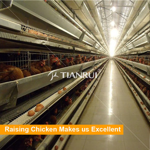Tianrui Volaille De Ferme De Poulet Prix de L'équipement pour Couche/Chair/Poulette/Éleveur - Product Image 1