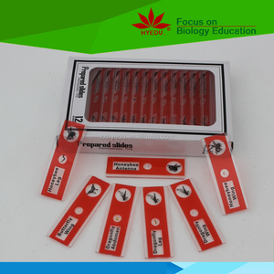 ชุดตัวอย่างแมลงสไลด์12ชิ้น,สไลด์พลาสติกเตรียมไว้สำหรับเป็นของขวัญเด็กอนุบาล - Product Image 2