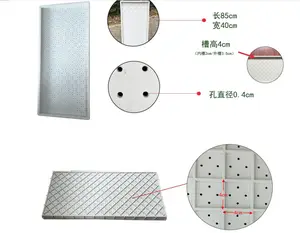 LYINE 大麦饲料种子托盘 Flood tray 为 Hydroponic