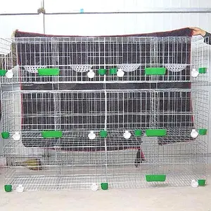 Cage d'élevage livraison rapide 24 pigeons, cage d'élevage à vendre