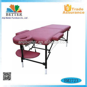 Mieux Pad professionnelle série Table de Massage Portable - Product Image 1