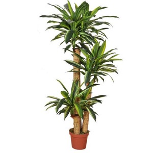 Fábrica hecho falso verde pequeño árbol artficial olla de Terre cuite de Vietnam Ficus microcarpa - Product Image 4