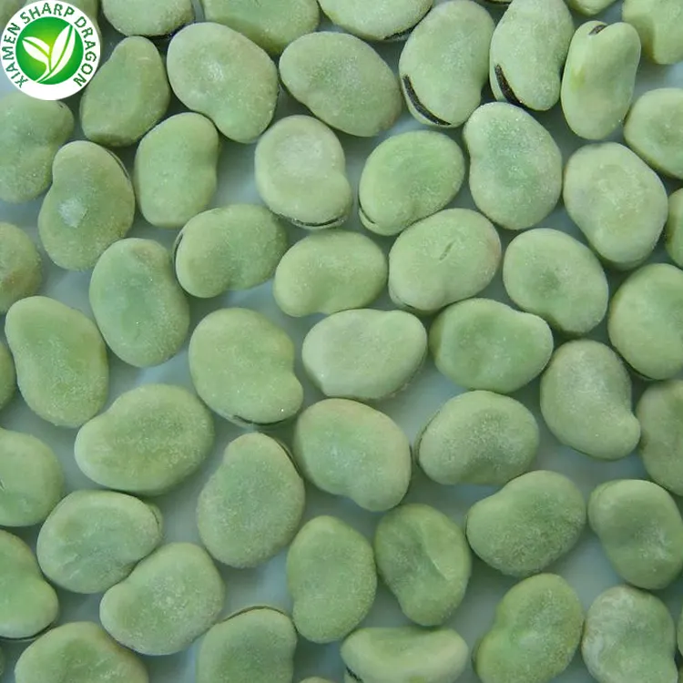 Bulk fresh new crop IQF peeled raw green frozen broad beans australia Organic Freeze Freezing Healthy Natural Wholesale Price