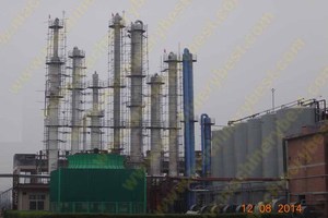 Estrade — plante de distillation et de distillation à l'alcool, plante médicale - Product Image 5