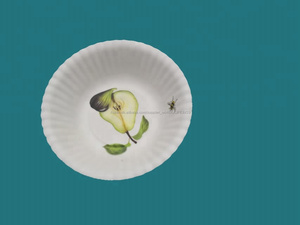 De lujo de wrink y <span class=keywords><strong>mira</strong></span> como un tazón de papel de calidad superior blanco gran plato de comida - Product Image 2
