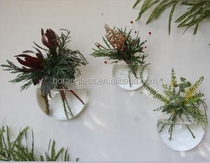 Vaso da <span class=keywords><strong>Parete</strong></span> in Vetro Trasparente Fatto a Mano per Piante Idroponiche con Opzioni di Dimensioni Personalizzate Horaeglass - Product Image 2