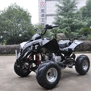 max speed more than 50km different colors 4stroke no reverse 125ccot sale China cheap automatic chain mini atv quad CE