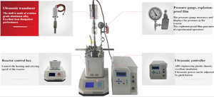 <span class=keywords><strong>Lab</strong></span> อัลตราซาวด์ความดันสูง Reactor 100-1000Ml สแตนเลสกวน Autoclave