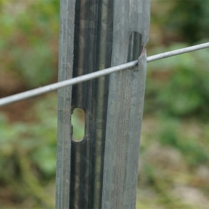 Poste métallique en vinyle galvanisé, nouveauté, approvisionnement directe depuis l'usine, dure longtemps - Product Image 5