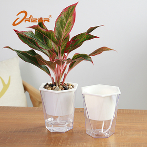 2017 Venta caliente transparente diamante pequeño balcón planta macetas para jardín decoraciones <span class=keywords><strong>de</strong></span> interior - Product Image 2