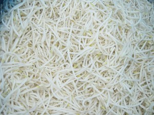 Sinocharm BRC A وافق IQF لوبياء شعاعية خضراء اللون تنبت المجمدة الأخضر الفول تنبت - Product Image 4