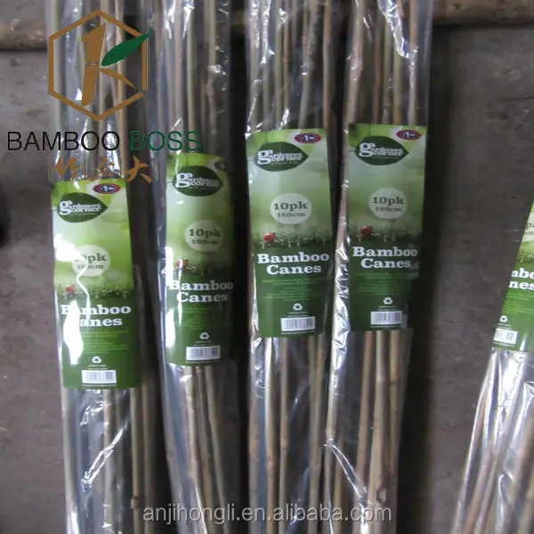 Бамбуковые стойки tonkin Edge для выращивания в розничной упаковке, поддержка сельскохозяйственных растений, бамбуковые стойки-сырые