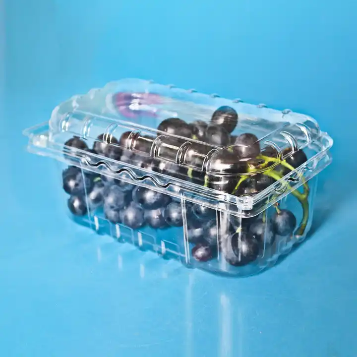 Disposable Small Plastic 125G Fruit Clamshell Packaging Container
