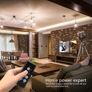 Socket China Suppliers Export Intelligent Multiple Remote Control Socket