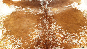 Cow Hide Rug - Product Image 2