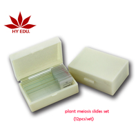 High quality educational instrument microscope slide of onion anther meiosis slides meiosis prepared microscope slides