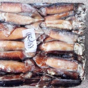 المجمدة الأرجنتين Illex حجم الحبار 100-150 جرام - Product Image 3