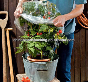 Film tunnel de serre <span class=keywords><strong>biodégradable</strong></span> protégé contre les UV PE 0.05mm pour le potager et l'utilisation agricole - Product Image 5