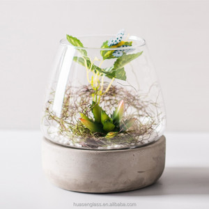 Vendita diretta in fabbrica micro paesaggio ecologico a forma di uovo vaso di vetro terrario con base in cemento <span class=keywords><strong>per</strong></span> pianta - Product Image 1