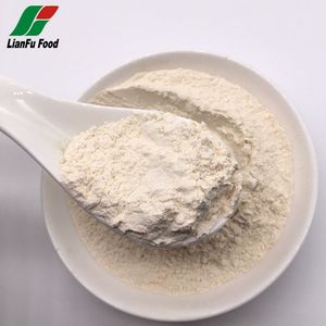 Buharla işlenmiş hava kurutulmuş beyaz soğan tozu - Product Image 2