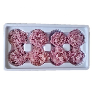 Crisantemos Preservados de 4-5 cm, Más de 20 Colores para el Día de la Madre, San Valentín, Graduación, Navidad, Año Nuevo - Product Image 5