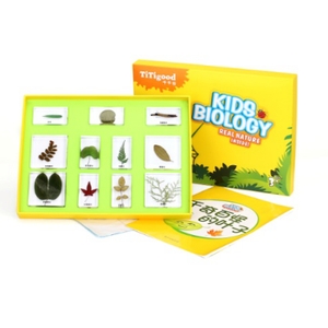 Gelsonlab HSKS-2702 Feuilles étranges Spécimens biologiques intégrés Enseignement Spécimen intégré - Product Image 1