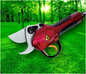Ciseaux électriques <span class=keywords><strong>à</strong></span> <span class=keywords><strong>batterie</strong></span> au lithium 4AH 36V Ciseaux électriques <span class=keywords><strong>sans</strong></span> <span class=keywords><strong>fil</strong></span> pour l'élagage de jardin Ciseaux d'élagage électriques - Product Image 3