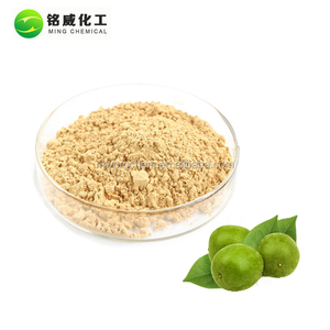 Doğal Luo Han Guo <span class=keywords><strong>Mogrosides</strong></span> <span class=keywords><strong>80%</strong></span> Mogroside V 30% Tozu Keşiş Meyve Özü - Product Image 1