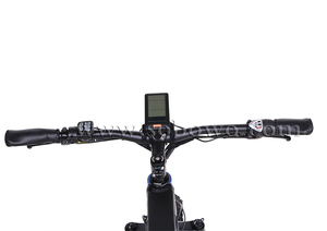 750w/1000w puissant poulie milieu moteur électrique vélo/gros pneu montagne vélo électrique - Product Image 3