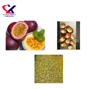 Công nghiệp Niềm Đam Mê Trái Cây Extractor Fratelli Indelicato, Niềm Đam Mê Nước Ép Trái Cây Máy Chế Biến, 3000 kg/giờ Niềm Đam Mê trái cây Peeler - Product Image 2