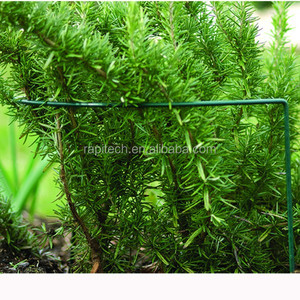 Grille lien décoratif support berceau jardin fil escalade décoratif approvisionnement - Product Image 3