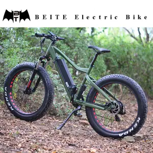 BEITE Brand 48V 750W electric bike , fat ebike, beach cruiser electric bike