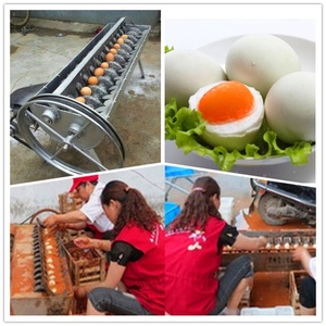 JUYOU Macchina Lavauova Automatica per Galline/Anatre/Macchina per la Pulizia delle Uova per la Lavorazione - Product Image 5