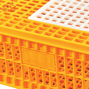 Boîtes de transport pour Pigeon, Cage à Pigeon à bas <span class=keywords><strong>prix</strong></span> à vendre <span class=keywords><strong>des</strong></span> caisses en plastique agricole - Product Image 6