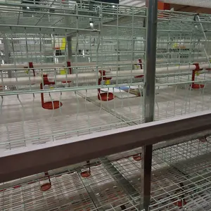 Hoàn toàn Tự Động Loại H Gia Cầm Gà Thịt Lồng Gà đối với bán