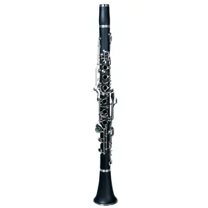 Bb plana ebonite clarinete com o processo de bronze bocal 17 chaves HCL-101