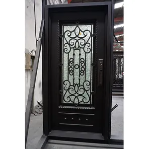 花式单入口钢门用于房屋的锻铁和玻璃门