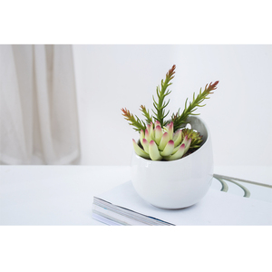 Venta al por mayor <span class=keywords><strong>de</strong></span> material <span class=keywords><strong>de</strong></span> PVC <span class=keywords><strong>de</strong></span> MINI sola Artificial <span class=keywords><strong>suculentas</strong></span> para venta - Product Image 1