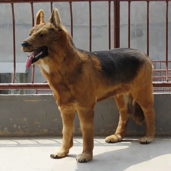 Présentoir Mannequin pour chien, taille naturelle, loup, livraison directe depuis l'usine, nouveauté