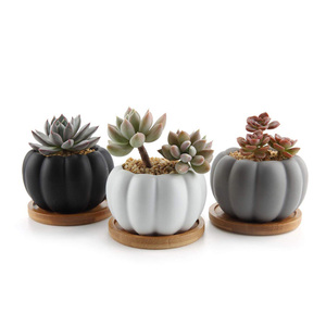 Maceta de cerámica <span class=keywords><strong>con</strong></span> bandeja de bambú para <span class=keywords><strong>suculentas</strong></span>, diseño de calabaza moderno - Product Image 1