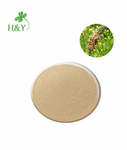 100% doğal en kaliteli psylium kabuğu <span class=keywords><strong>psyllium</strong></span> kabuğu tozu - Product Image 2